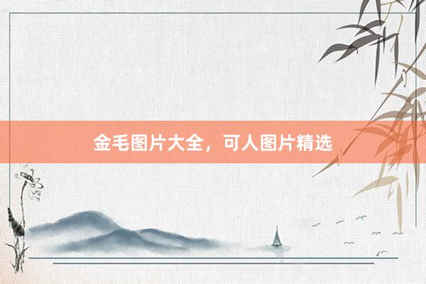 金毛图片大全，可人图片精选